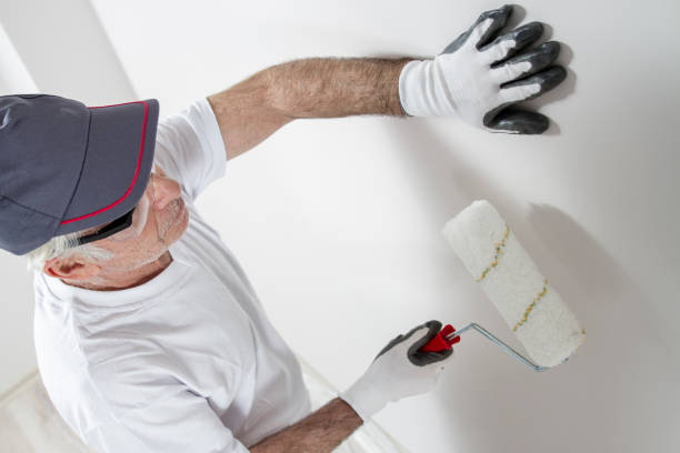 Best Water-Damaged Drywall Repair  in USA